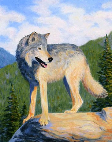 The Scout - Gray Wolf - Gray Wolf by Kitty Whitehouse