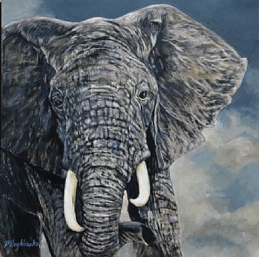 Out of Serengeti - African Elephant by Debbie Hughbanks