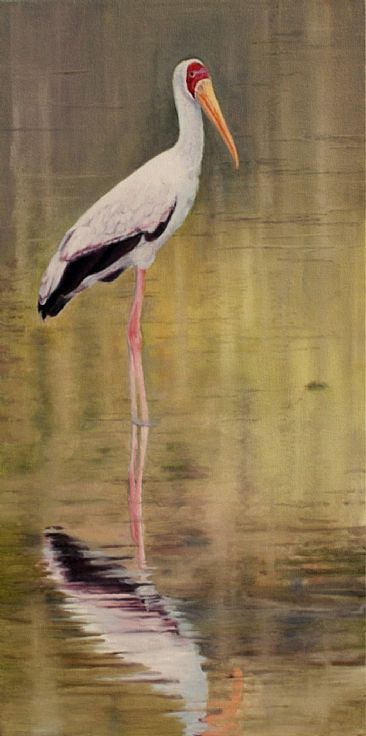 Reflection - Yellow-billed Stork - Yellow-billed Stork by Sally Berner