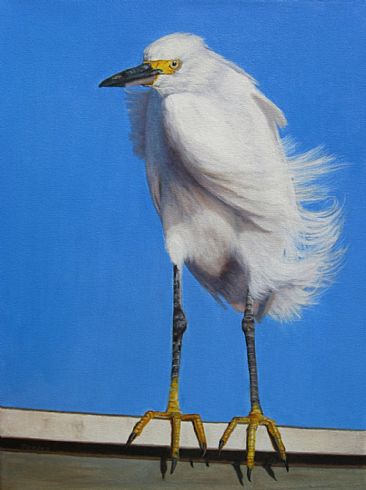 Blowin' in the Wind - Snowy Egret  - Paint the Parks 2011 Top 100 Exhibition by Sally Berner