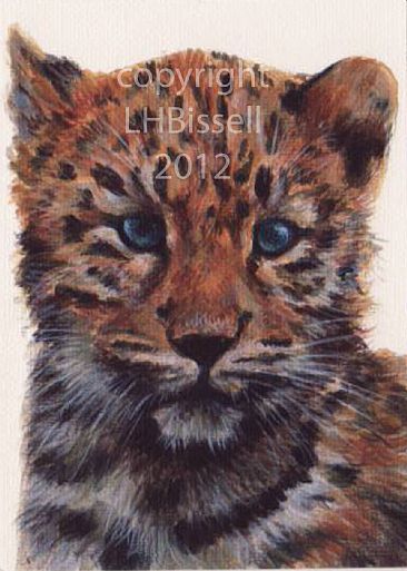 Kiska - Amur leopard cub by Lauren Bissell