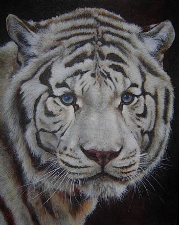Star of India - White Bengal Tiger by Lauren Bissell