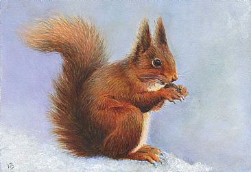 Red Squirrel - European red squirrel by Lauren Bissell