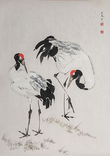 Black-necked Cranes -  by Alejandro Bertolo