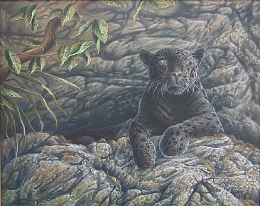 Jaguar at Rest - Black Jaguar by Curtis Atwater