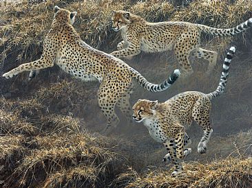 Cheetah Family at Play - cheetahs by Robert Bateman