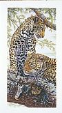 Nature's Pattern - African Leopards by Dennis Curry (2)