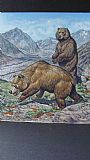 wildlife art paintings