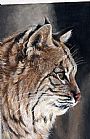 wildlife art paintings