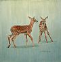 Summer Fun - Whitetail Fawns by Marti Millington (2)