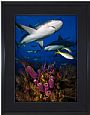 Caribbean Reef Shark  -  by  Wyland (2)