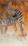 Serengeti Sunset - Plains Zebra by Kathryn Weisberg (2)