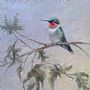 Summer Ruby - Hummingbird by Mary Erickson (2)