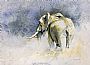 Bush Bull - African Bull Elephant by Karen Laurence-Rowe (2)