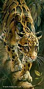 Nature Art supporting Carolina Tiger Rescue