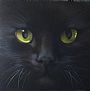 Tatshenshini - Domestic Cat by J. Sharkey Thomas (2)