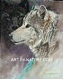The Guardian - wolves by Deb Gengler-Copple (2)