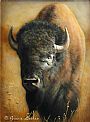 Back Off - American Bison - Bison by Bonnie Latham (2)