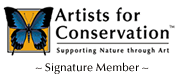 Artists for conservation supporting nature through art signature member Taylor White