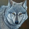 Nature Art - Wildlife Art - wolf dingo dog wolves fox jackal coyote retriever